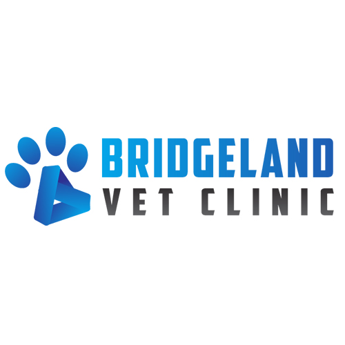 bridgeland-logo